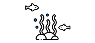 sea_icon
