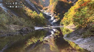 季節だより