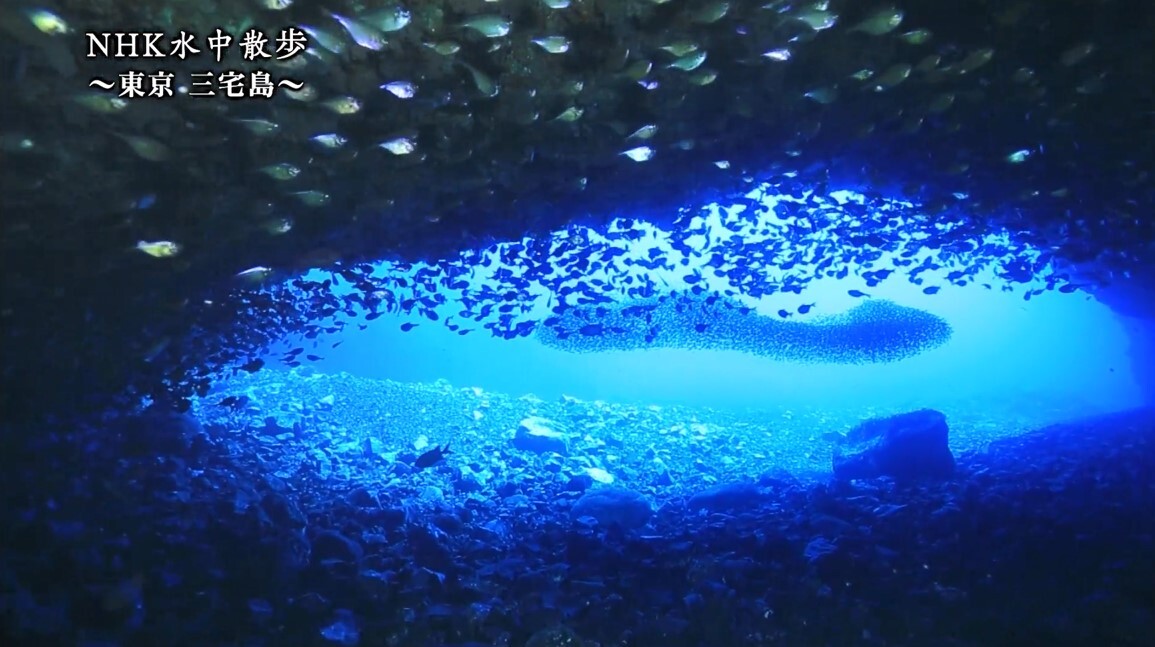 水中散歩3