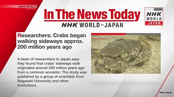 英語ニュース